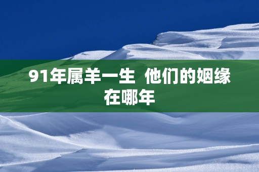 91年属羊一生  他们的姻缘在哪年