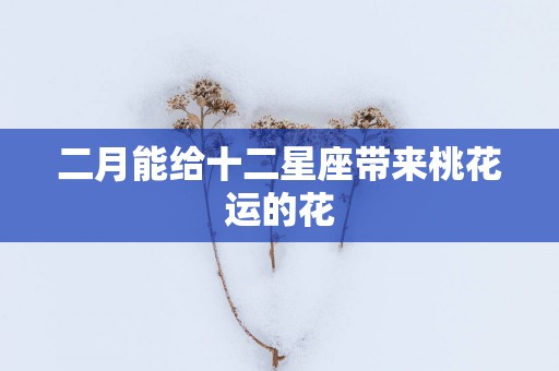二月能给十二星座带来桃花运的花