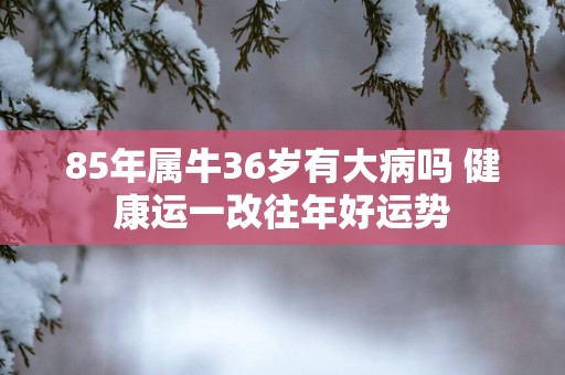 85年属牛36岁有大病吗 健康运一改往年好运势
