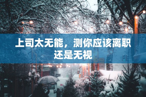 上司太无能，测你应该离职还是无视