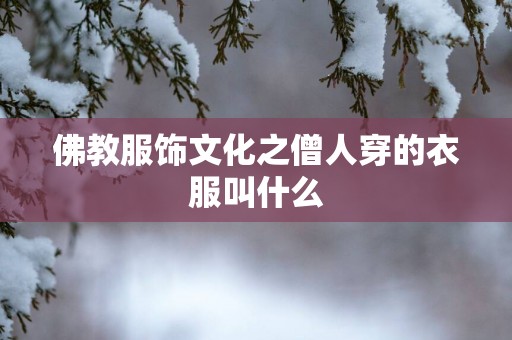 佛教服饰文化之僧人穿的衣服叫什么