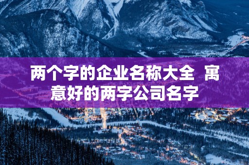 两个字的企业名称大全  寓意好的两字公司名字
