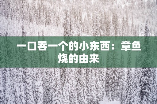 一口吞一个的小东西：章鱼烧的由来