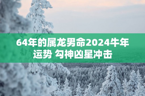 64年的属龙男命2025蛇年运势 勾神凶星冲击