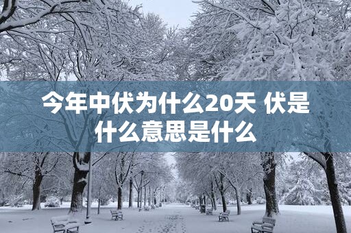 今年中伏为什么20天 伏是什么意思是什么