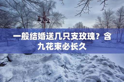 一般结婚送几只支玫瑰？含九花束必长久