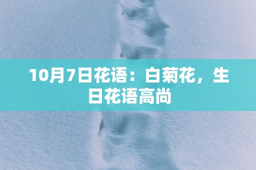 10月7日花语：白菊花，生日花语高尚