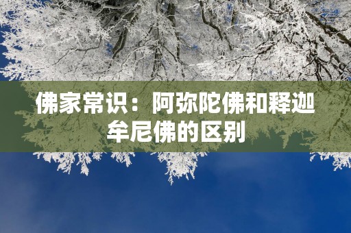 佛家常识：阿弥陀佛和释迦牟尼佛的区别