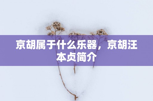 京胡属于什么乐器，京胡汪本贞简介