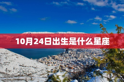 10月24日出生是什么星座