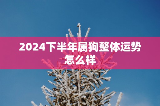 2025下半年属狗整体运势怎么样