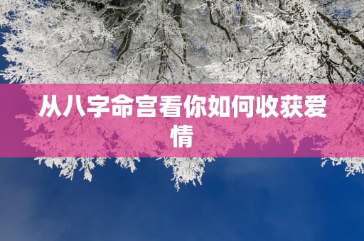 从八字命宫看你如何收获爱情