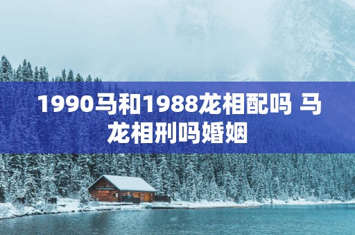 1990马和1988龙相配吗 马龙相刑吗婚姻