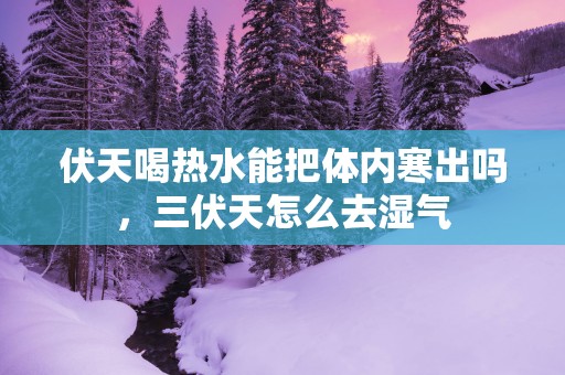 伏天喝热水能把体内寒出吗，三伏天怎么去湿气