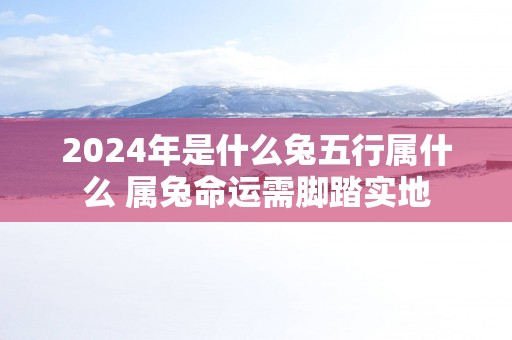 2025年是什么兔五行属什么 属兔命运需脚踏实地