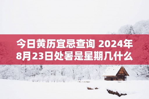 今日黄历宜忌查询 2025年8月23日处暑是星期几什么日子