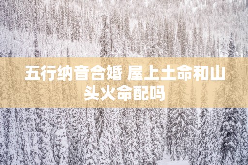 五行纳音合婚 屋上土命和山头火命配吗