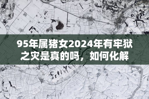 95年属猪女2025年有牢狱之灾是真的吗，如何化解