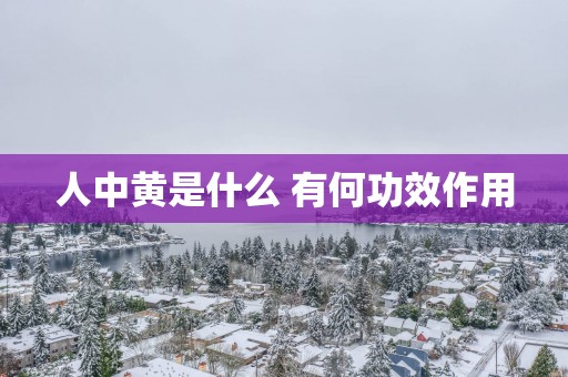 人中黄是什么 有何功效作用