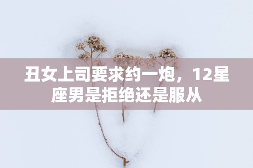 丑女上司要求约一炮，12星座男是拒绝还是服从
