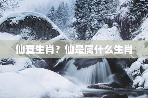 仙查生肖？仙是属什么生肖