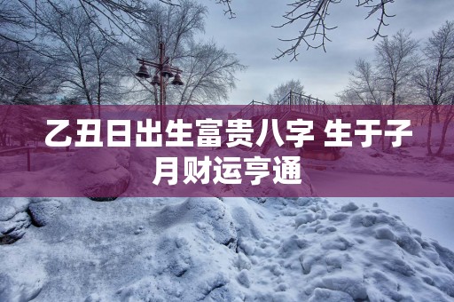 乙丑日出生富贵八字 生于子月财运亨通