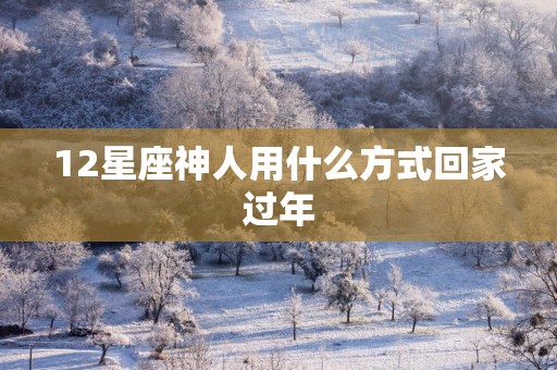 12星座神人用什么方式回家过年