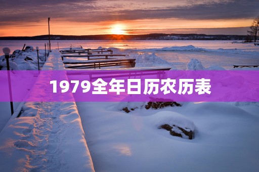 1979全年日历农历表