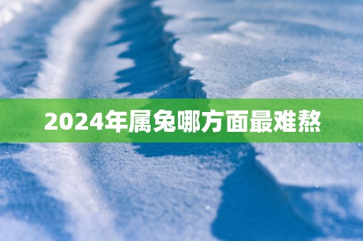 2025年属兔哪方面最难熬