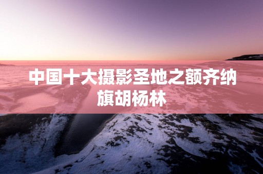 中国十大摄影圣地之额齐纳旗胡杨林