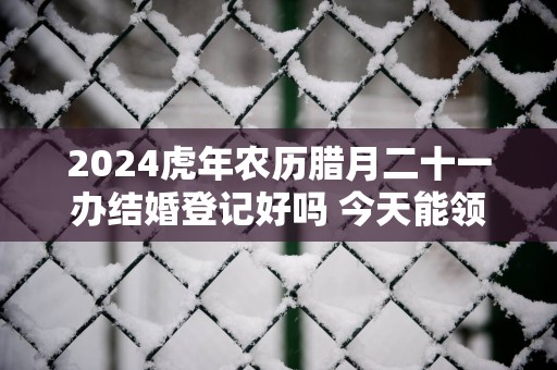 2025蛇年农历腊月二十一办结婚登记好吗 今天能领证不