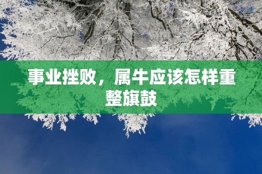 事业挫败，属牛应该怎样重整旗鼓