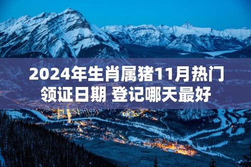 2025年生肖属猪11月热门领证日期 登记哪天最好