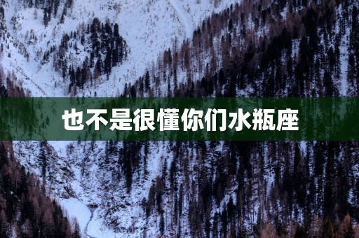 也不是很懂你们水瓶座
