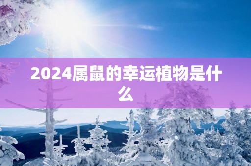 2025属鼠的幸运植物是什么