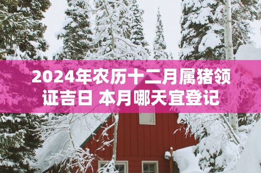 2025年农历十二月属猪领证吉日 本月哪天宜登记