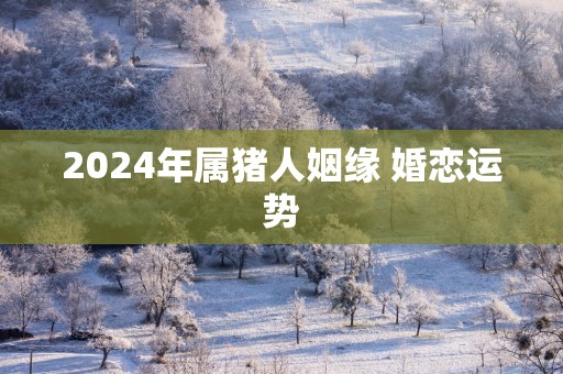 2025年属猪人姻缘 婚恋运势