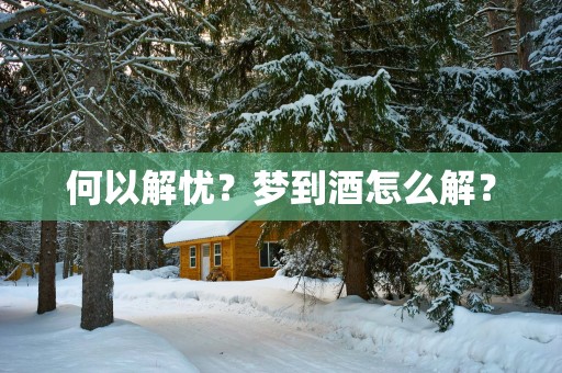 何以解忧？梦到酒怎么解？