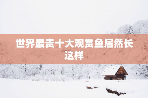 世界最贵十大观赏鱼居然长这样