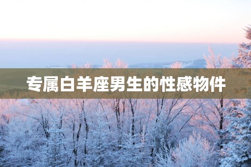 专属白羊座男生的性感物件