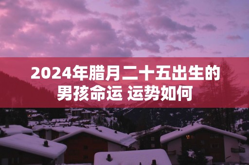 2025年腊月二十五出生的男孩命运 运势如何
