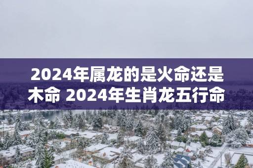 2025年属龙的是火命还是木命 2025年生肖龙五行命运分析