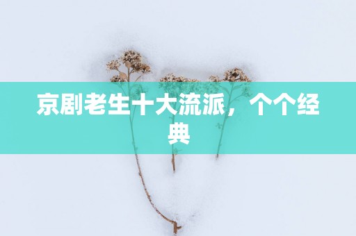 京剧老生十大流派，个个经典