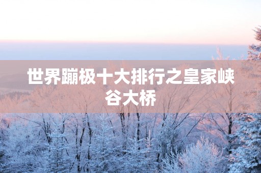 世界蹦极十大排行之皇家峡谷大桥