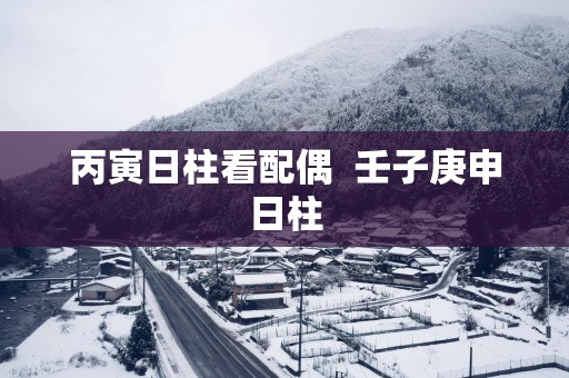 丙寅日柱看配偶  壬子庚申日柱