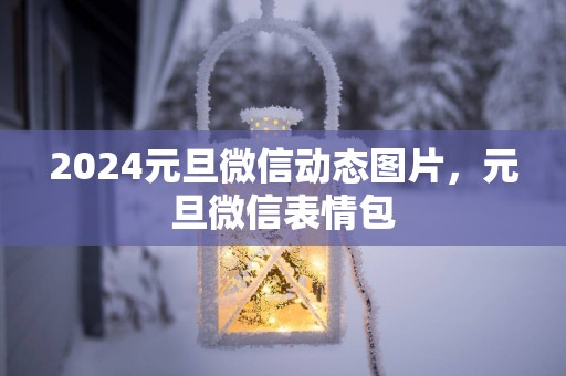 2025元旦微信动态图片，元旦微信表情包