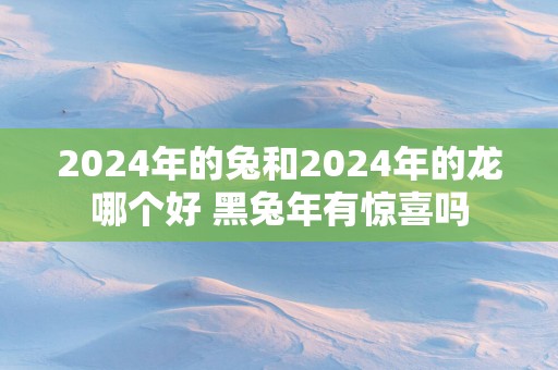 2025年的兔和2025年的龙哪个好 黑蛇年有惊喜吗