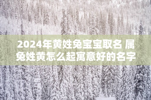 2025年黄姓兔宝宝取名 属兔姓黄怎么起寓意好的名字