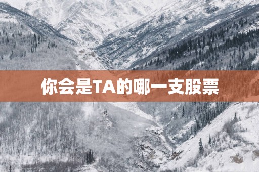 你会是TA的哪一支股票