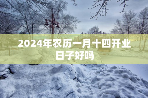 2025年农历一月十四开业日子好吗